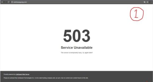 Cara Mengatasi Error 503 Pada Website